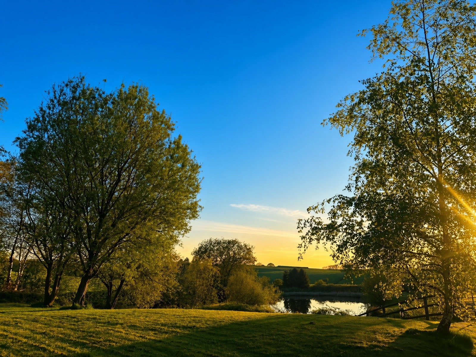 Golden light by the water