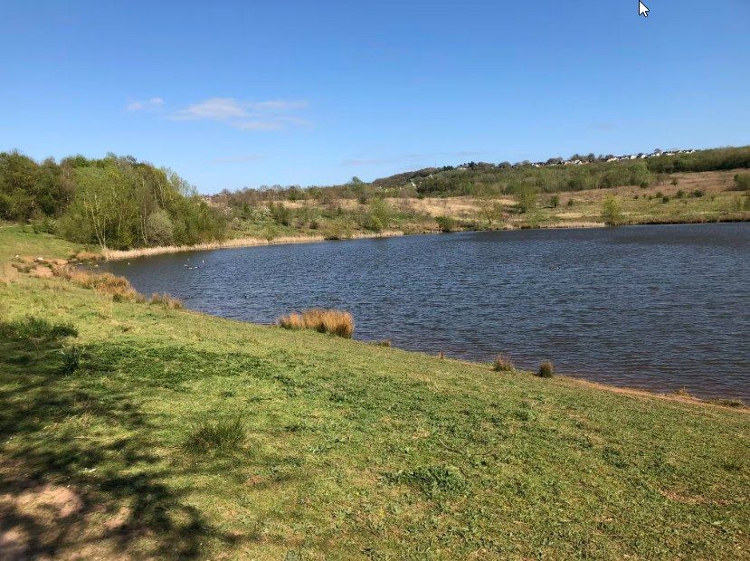 The lake at Bateswood from the grassy bank